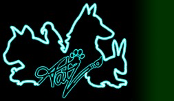 Tatz Tierzeichnungen